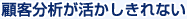 顧客分析が活かしきれない